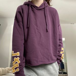 Abercrombie & Fitch Purple/Magenta Cropped Hoodie